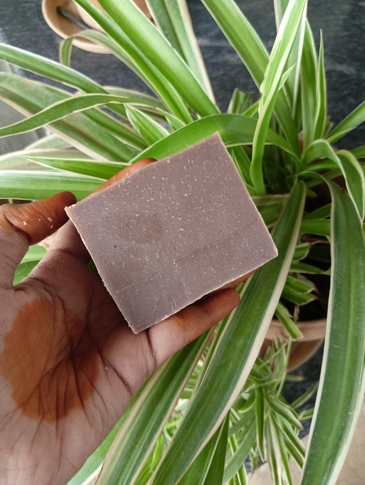 Avarampoo Powder