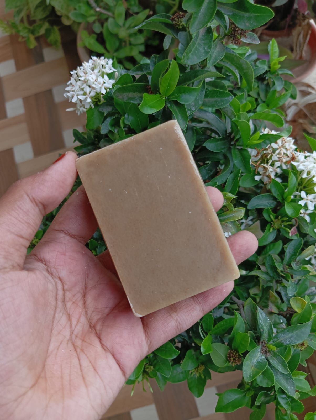 Goat Milk Soap