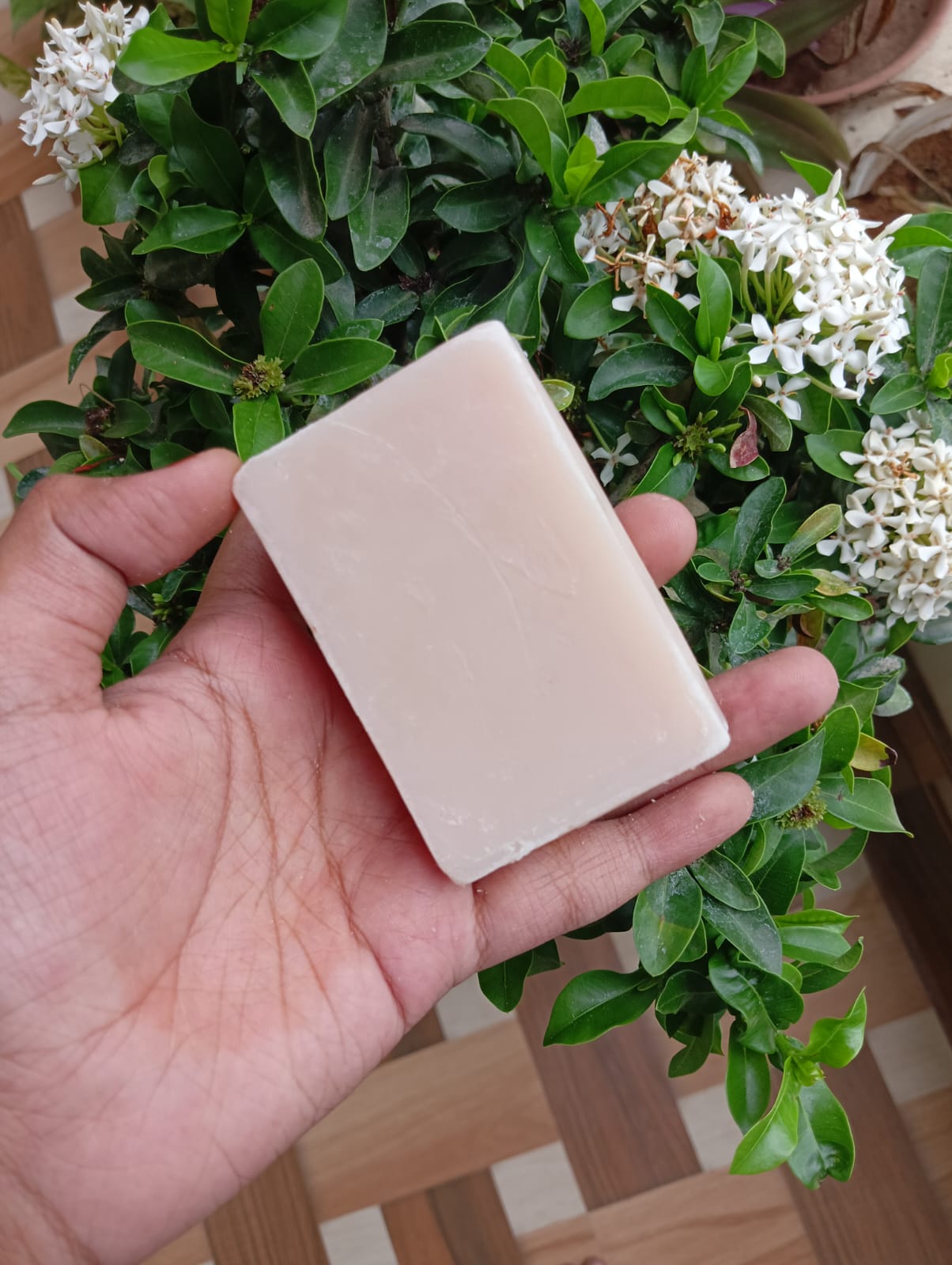 Aloevera Soap