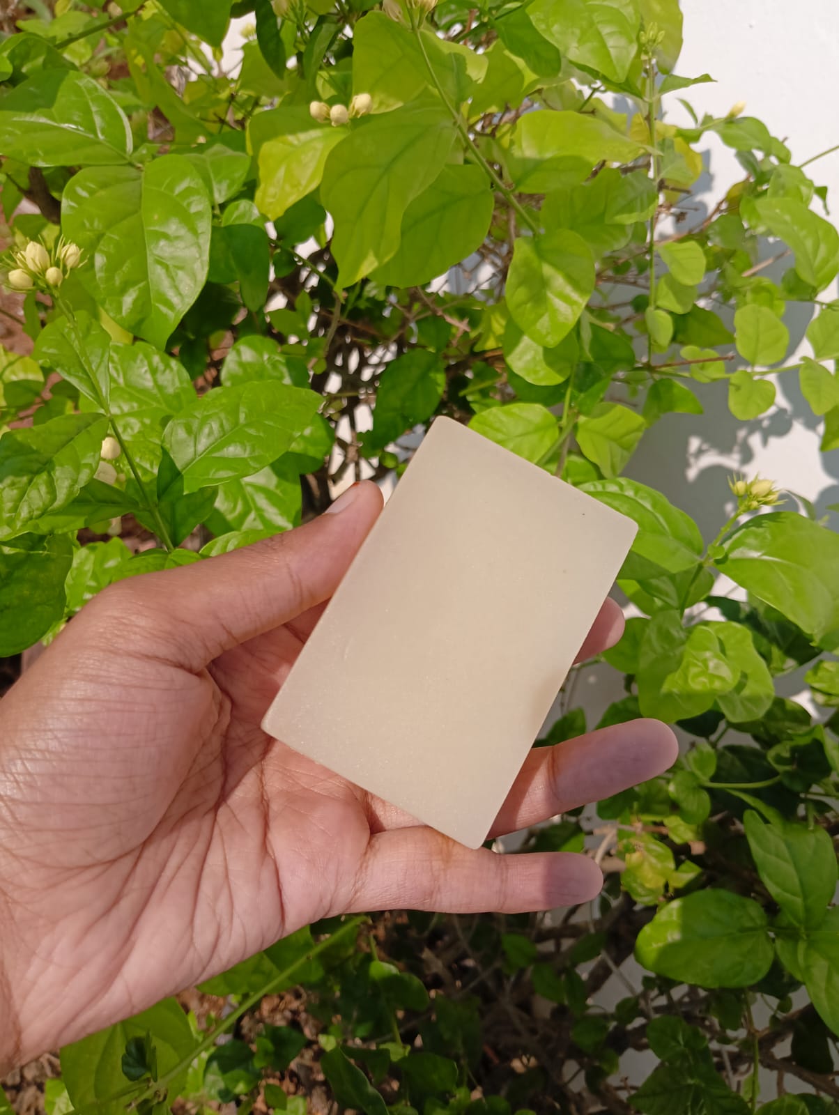 Potato Ulunthu Soap