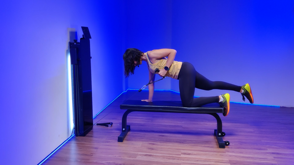 Bench Birddog Single Arm Rows