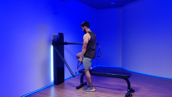 Cable Lateral Step Ups