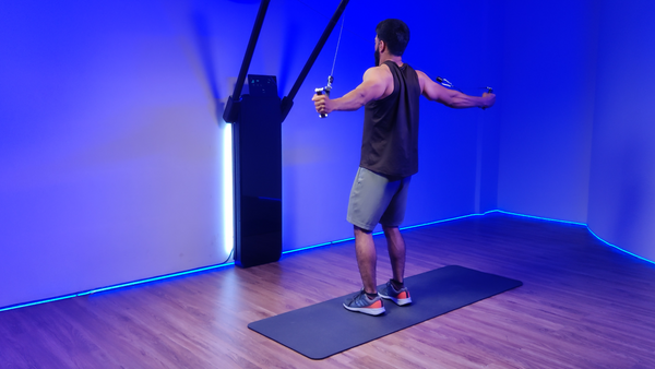 Cable Standing Reverse Rear Delts Fly