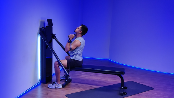 Seated D-handle shoulder press
