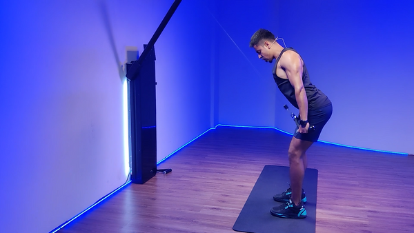 Rope Straight Arm Pulls