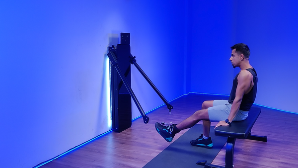 Seated Leg Curls