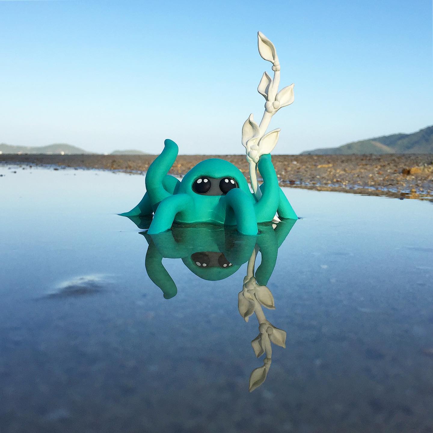 Skadooch turquoise