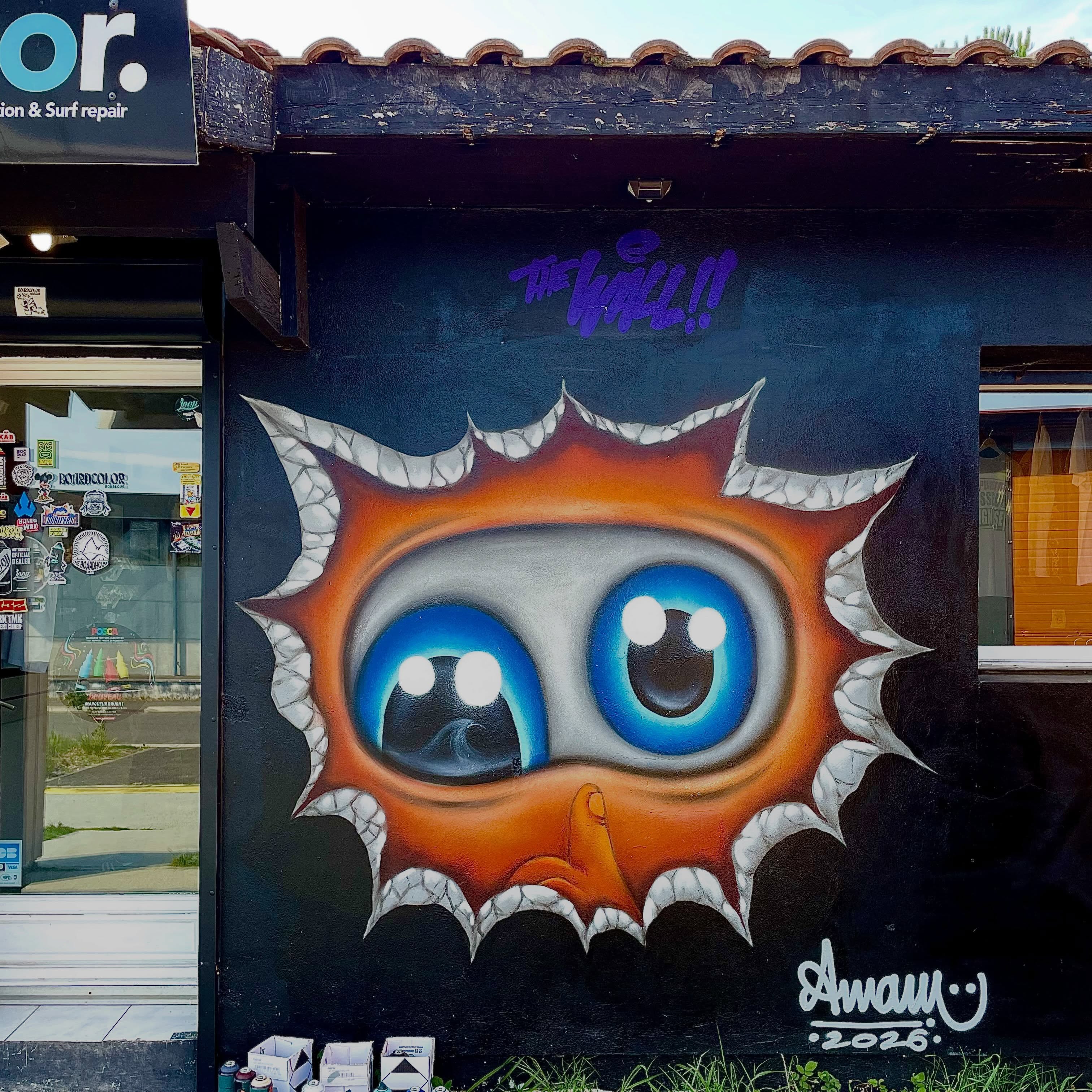 Boardcolors, Hossegor, France