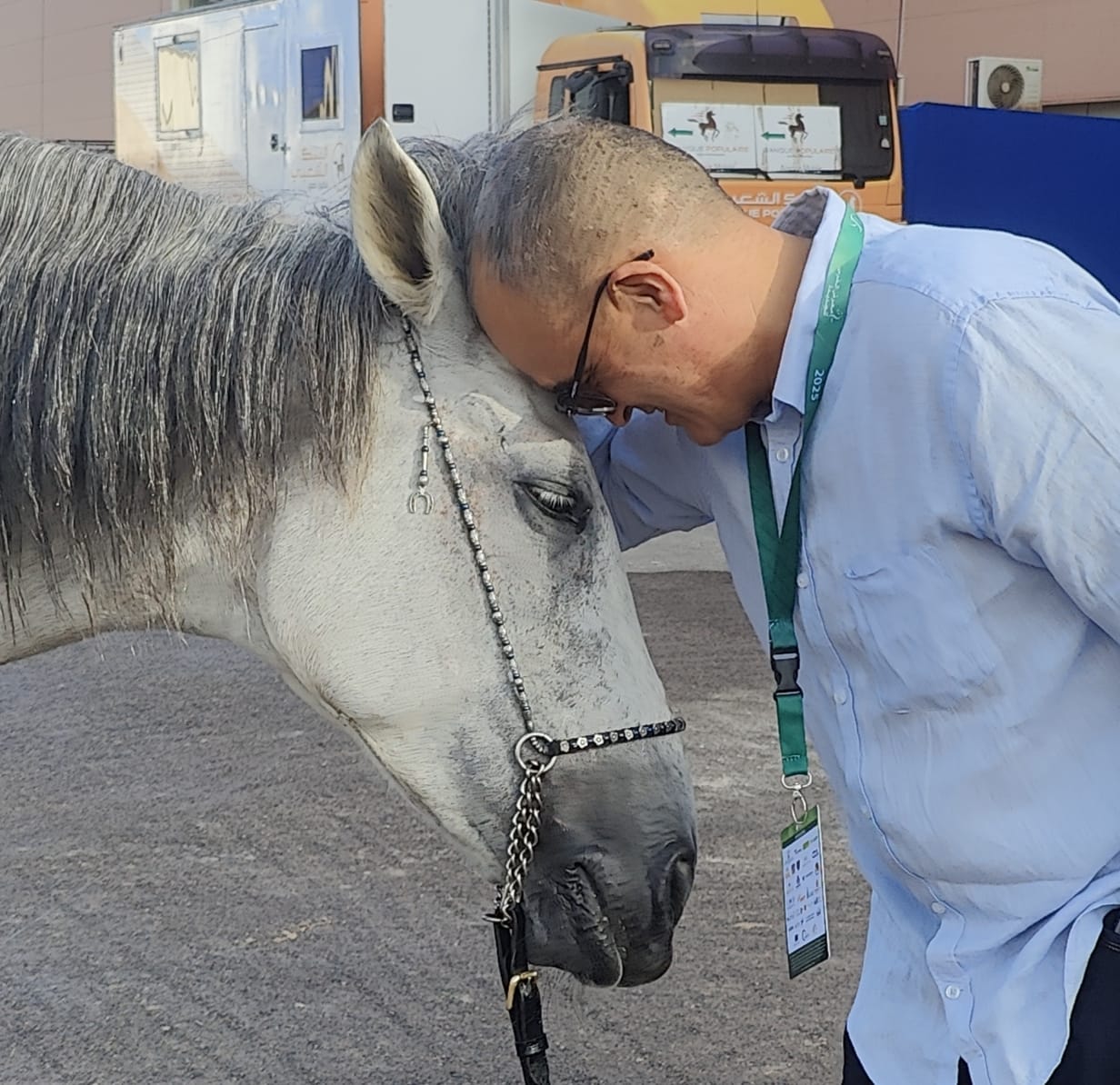 L'artiste peintre Rachid Benabdellah,président de l'association ALAC, participe à la 16ème édition du salon du cheval d'El Jadida - Maroc - du 30 septembre au 5 octobre 2025.