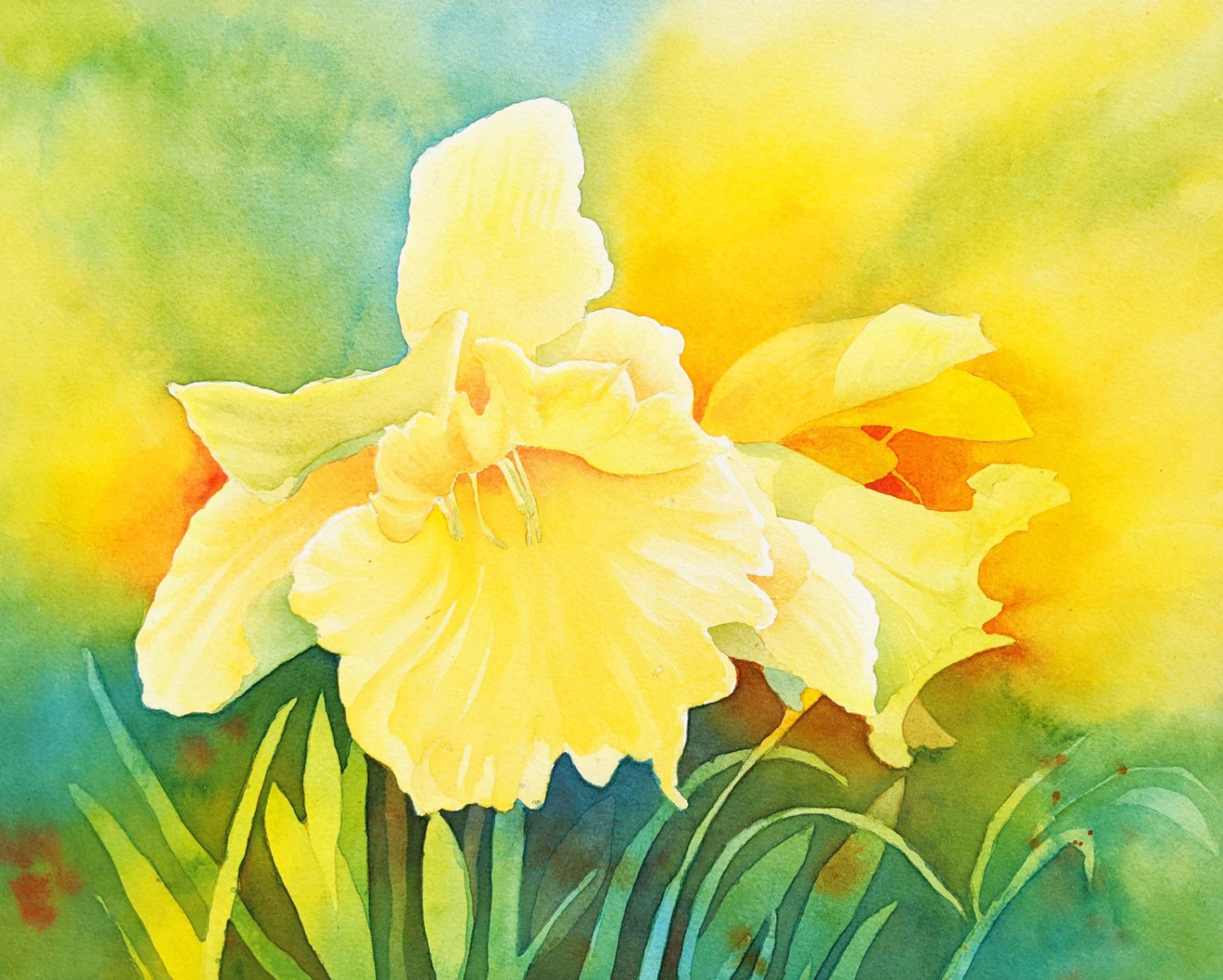 Watercolor Daffodil Painting