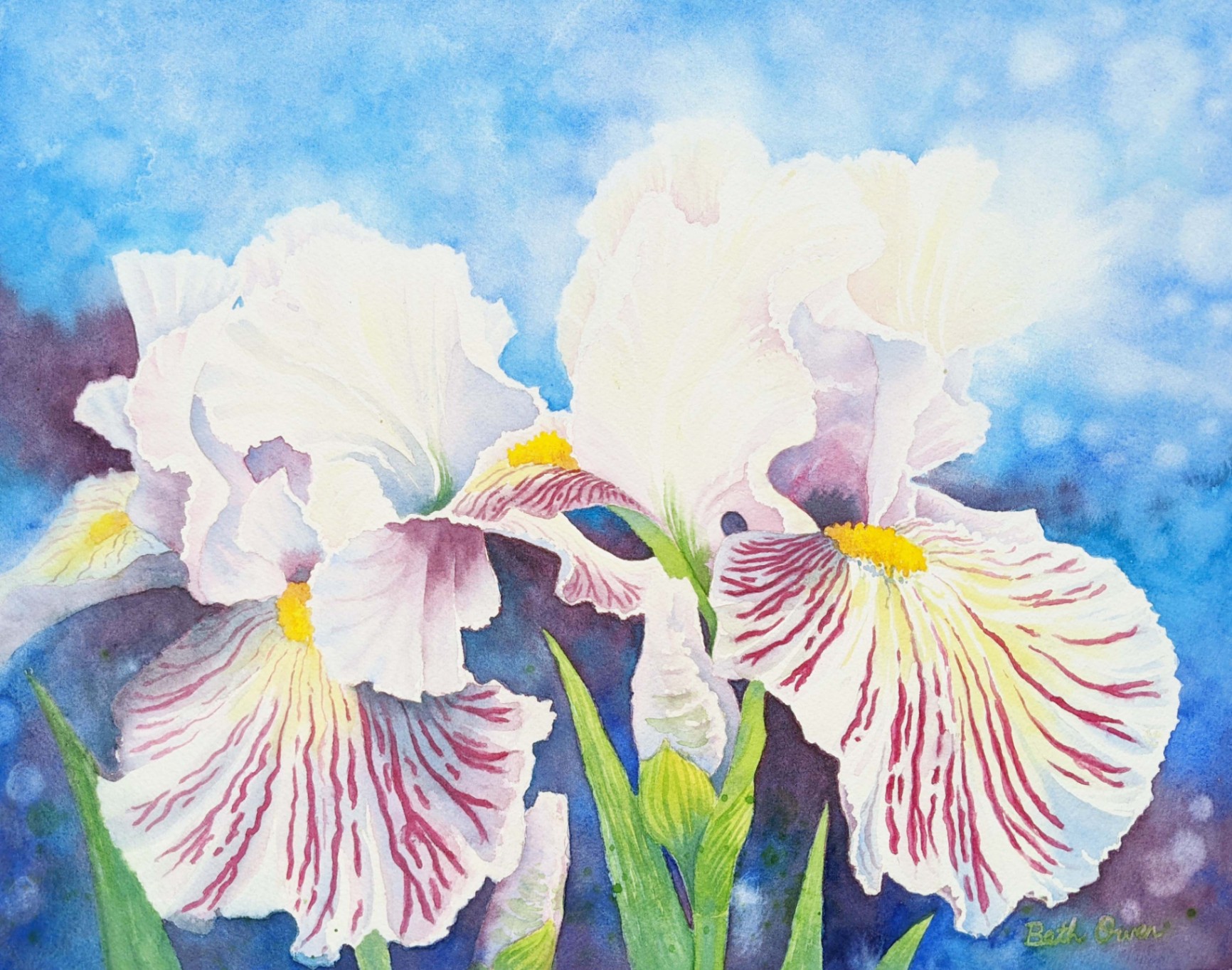 Watercolor Iris in Blue Painting