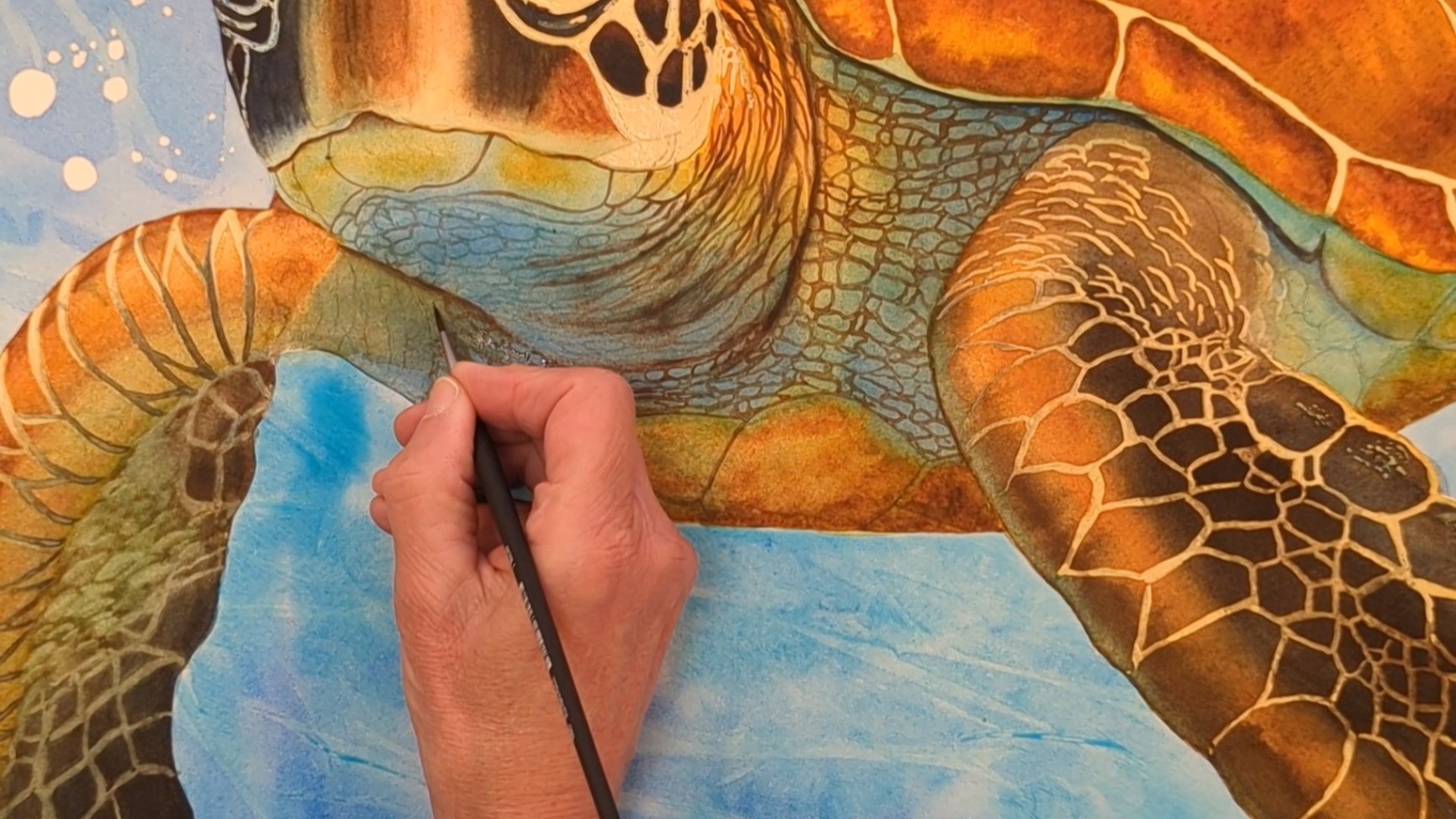 Watercolor undefined Painting