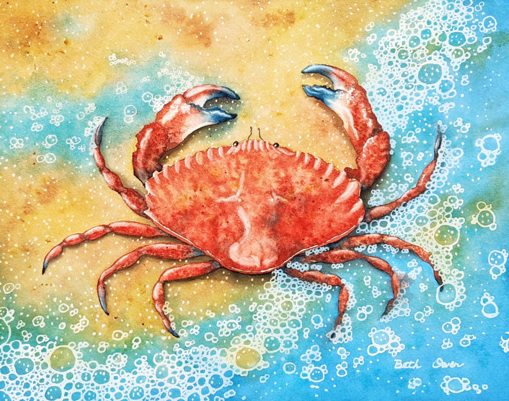 Watercolor Red Rock Crab Painting