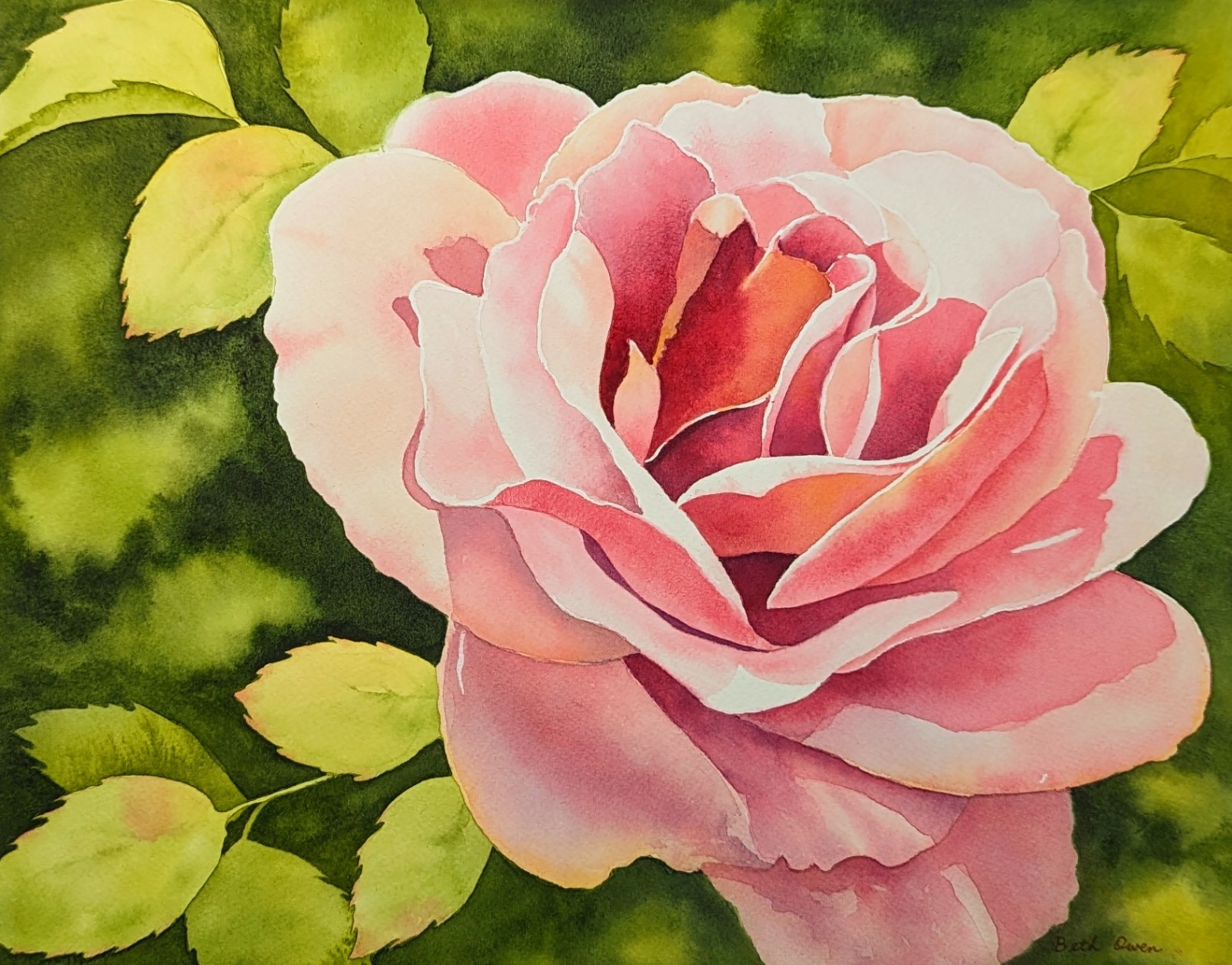 Watercolor Rose Study Painting