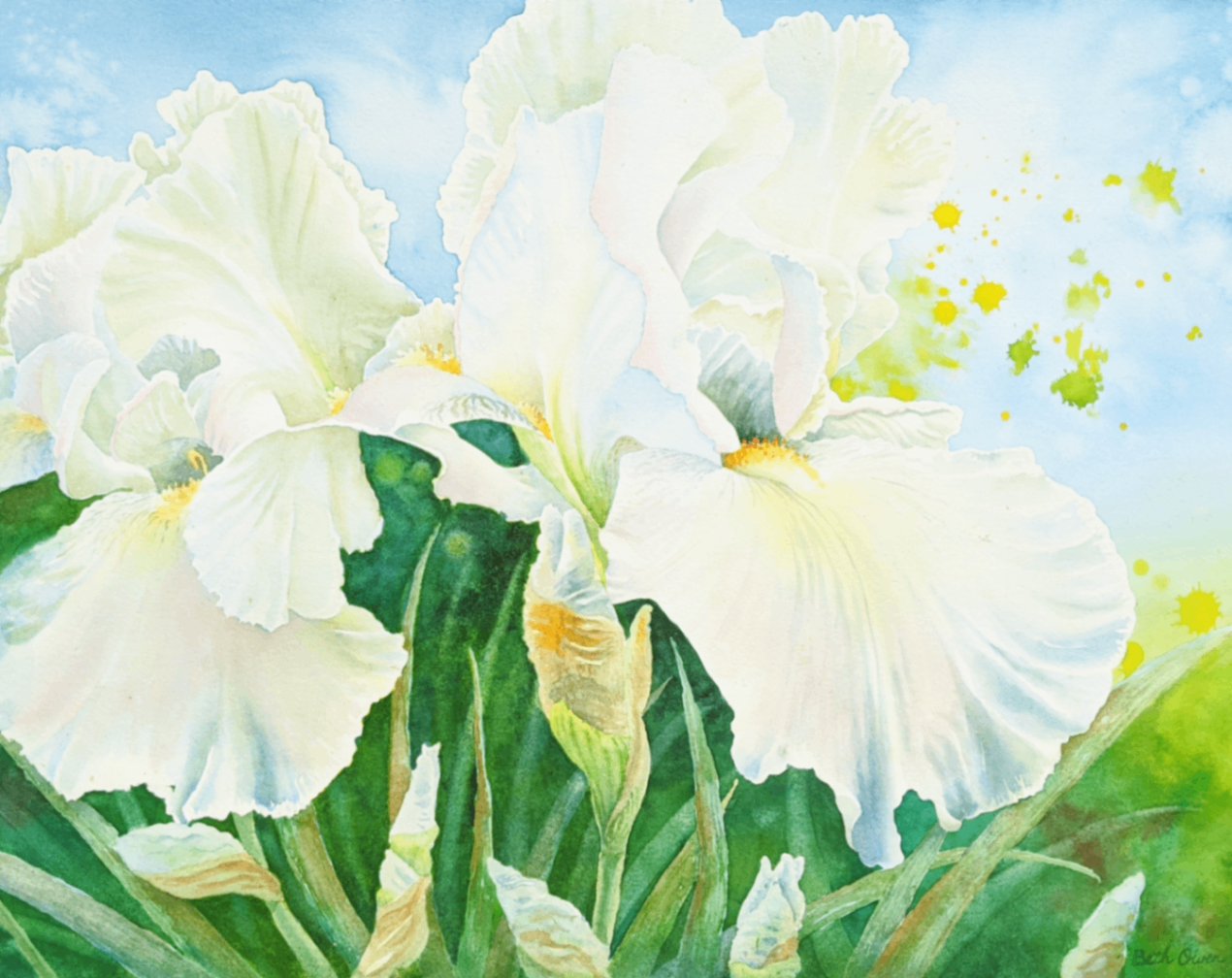 Watercolor White Iris Painting