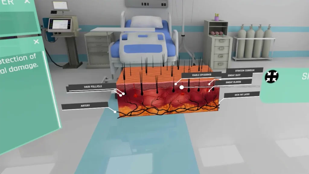VR Anatomy for Meta Quest