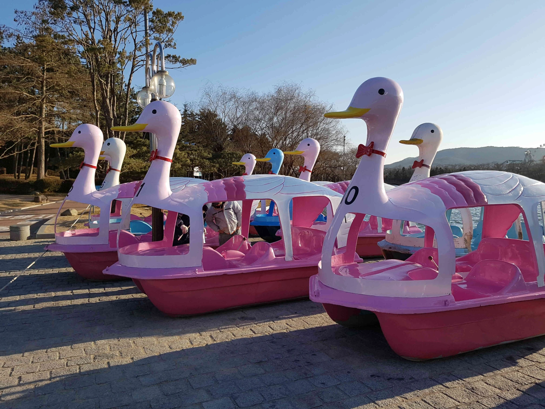 경주 오리배 페인팅