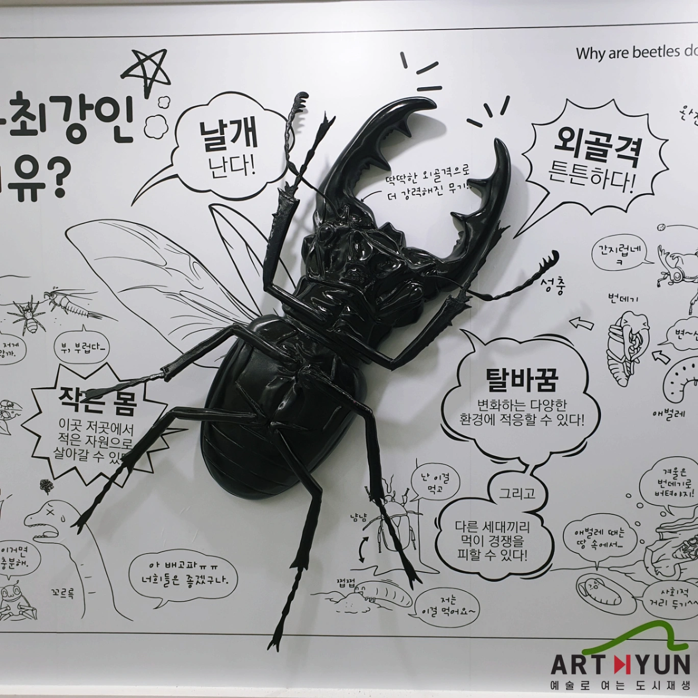 국립부산과학관 '지구최강비틀즈 展' 딱정벌레 조형물