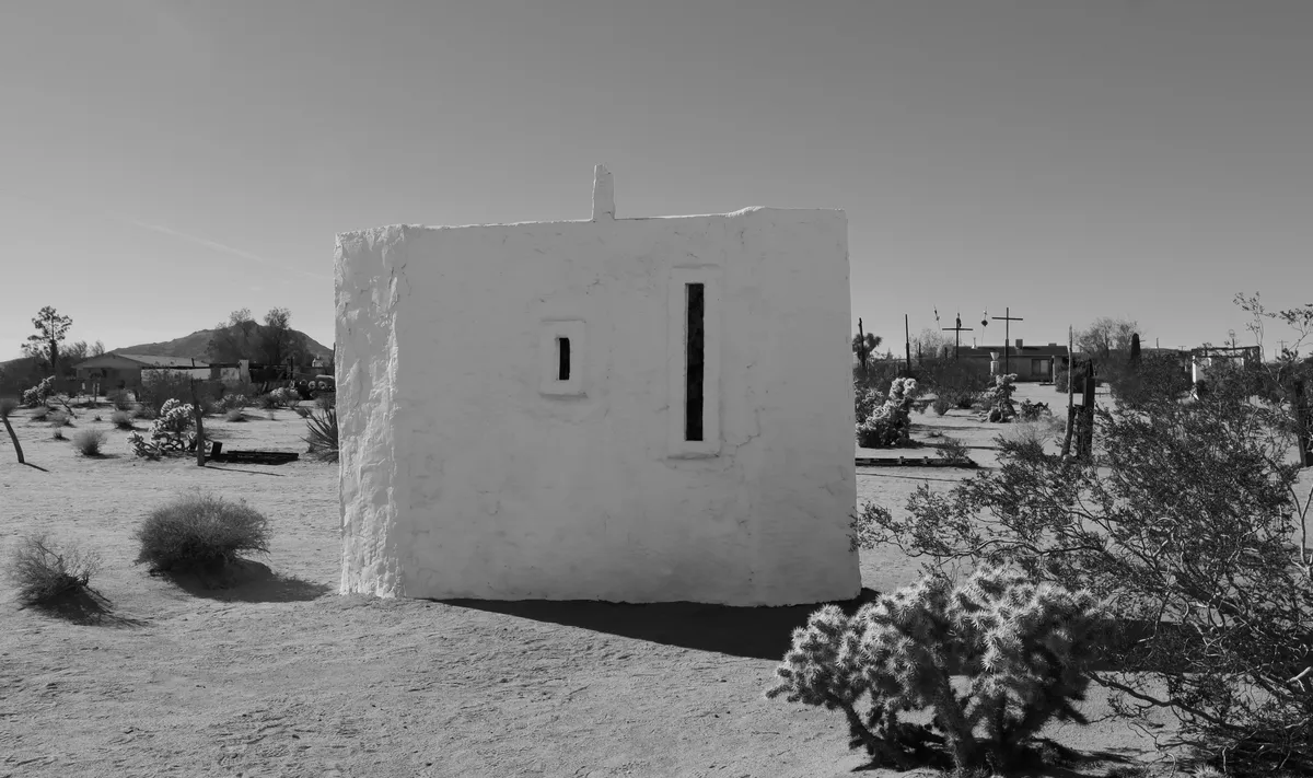 Joshua Tree — image 1 of 12