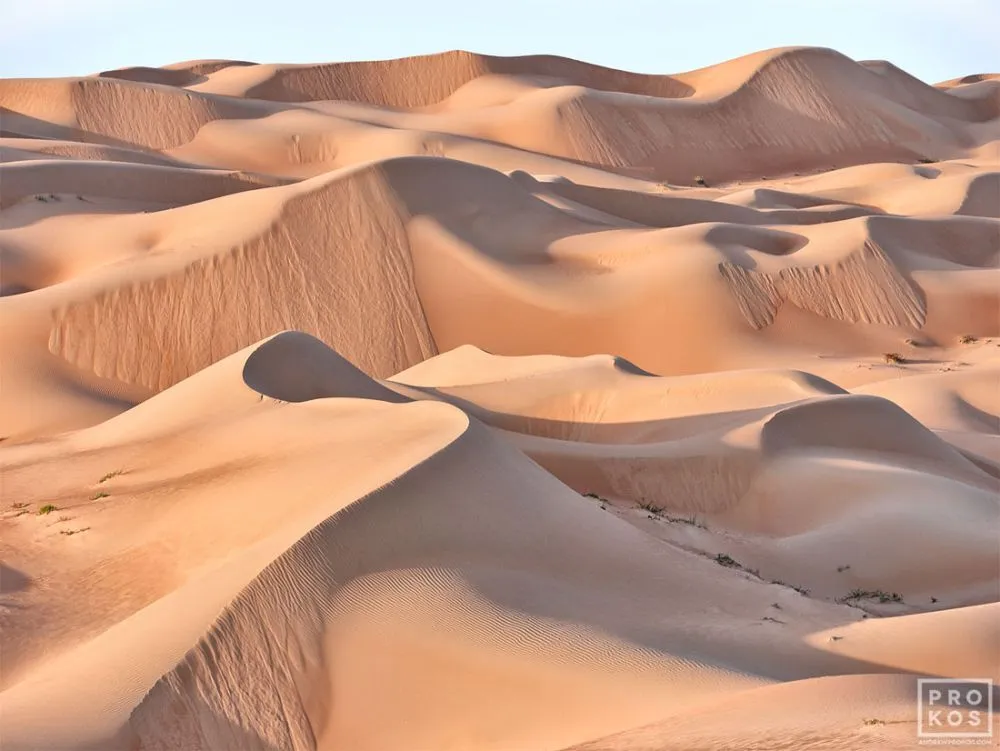 Dunescape #1 — image 1 of 1
