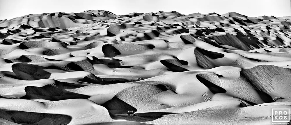 Dunescape #9 — image 1 of 1