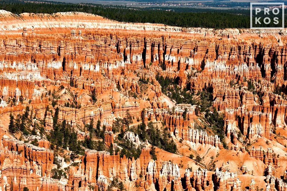 Bryce Canyon Landscape I — image 1 of 2