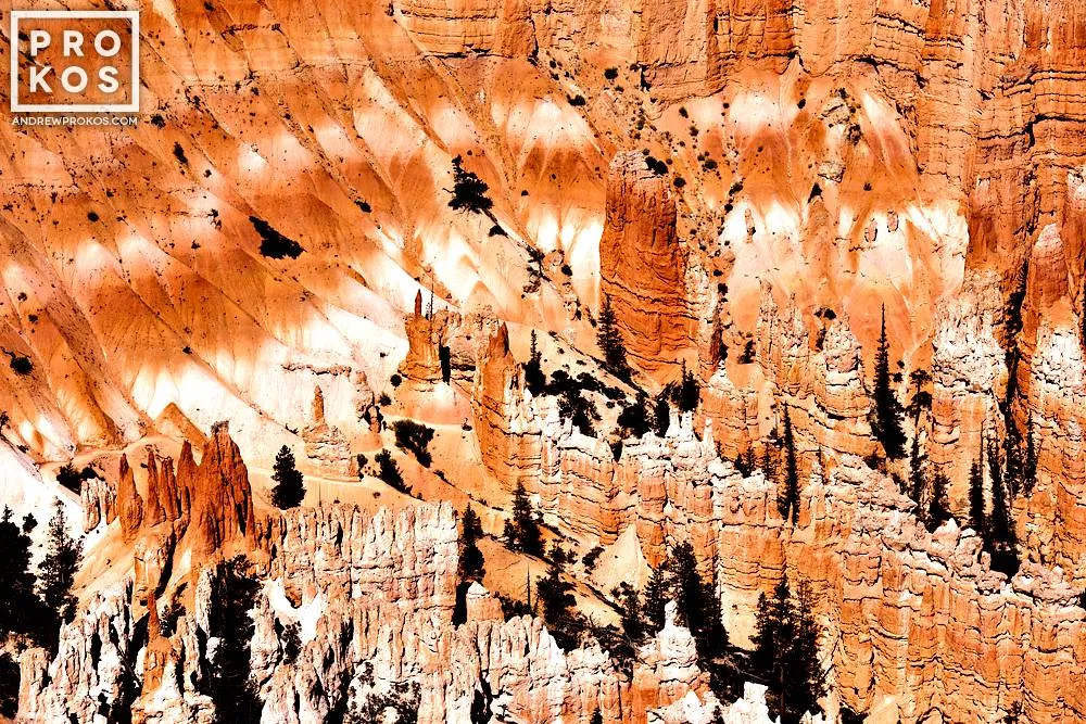 Bryce Canyon Landscape II — image 1 of 1