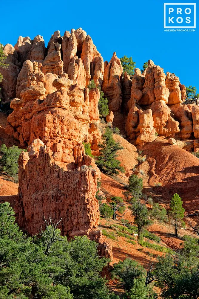Red Canyon Landscape III — image 1 of 1