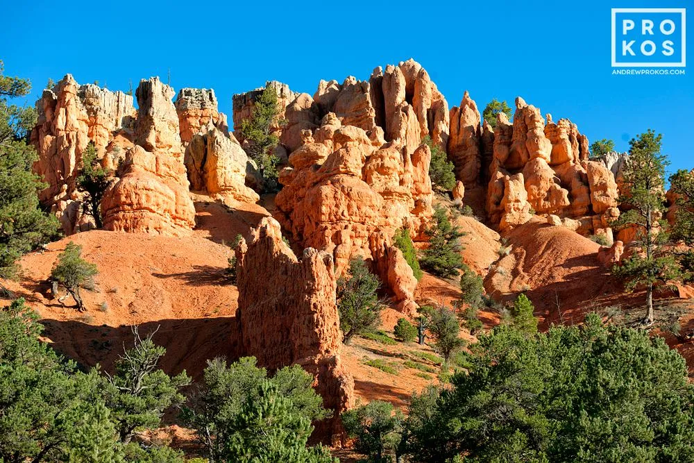 Red Canyon Landscape II — image 1 of 1