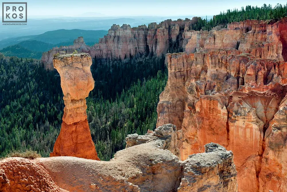 Agua Canyon Landscape — image 1 of 1