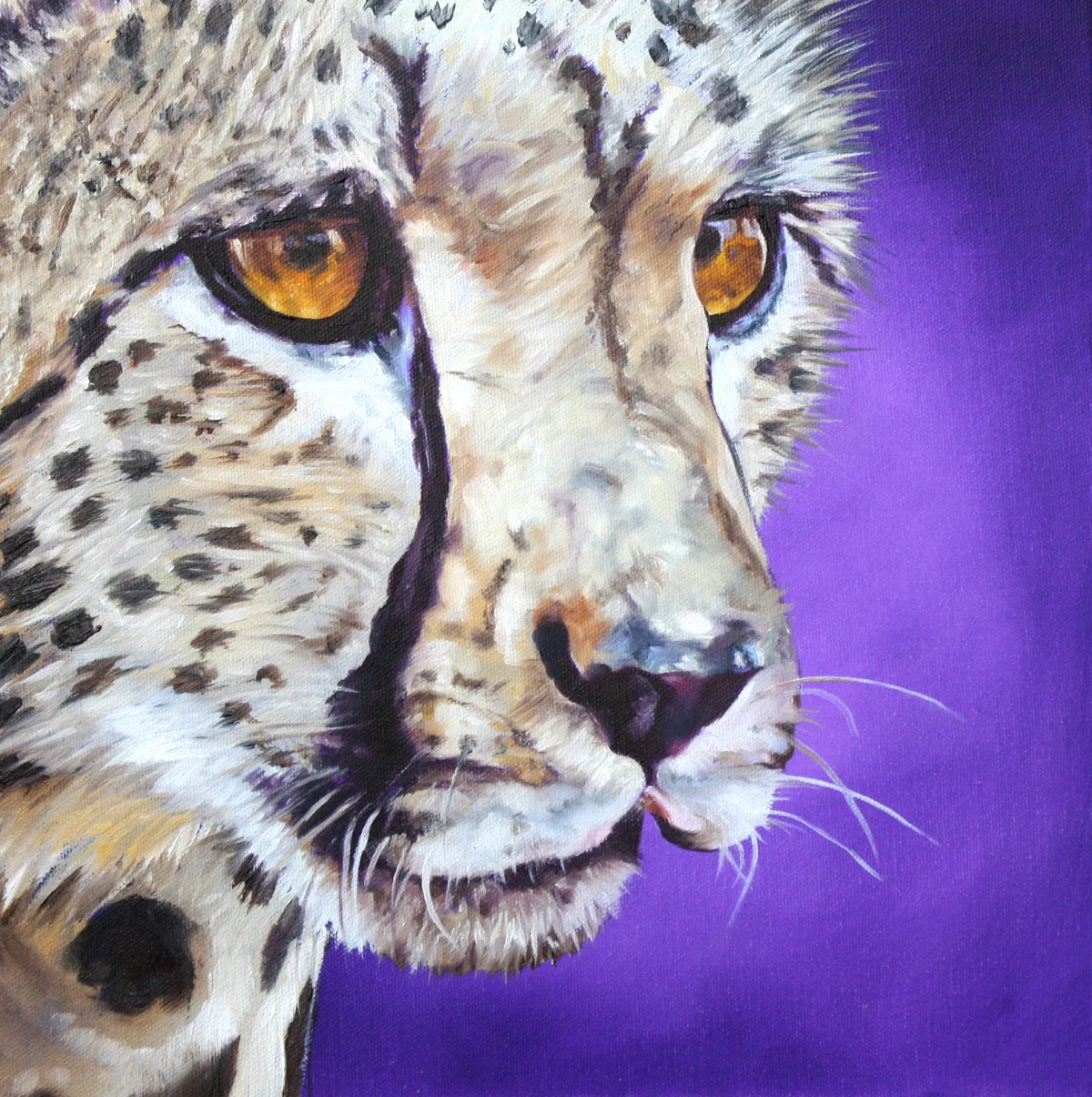 Cheetah — image 1 of 2