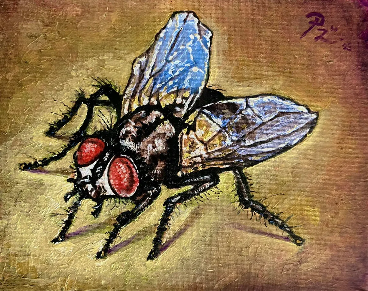 fly — image 1 of 1