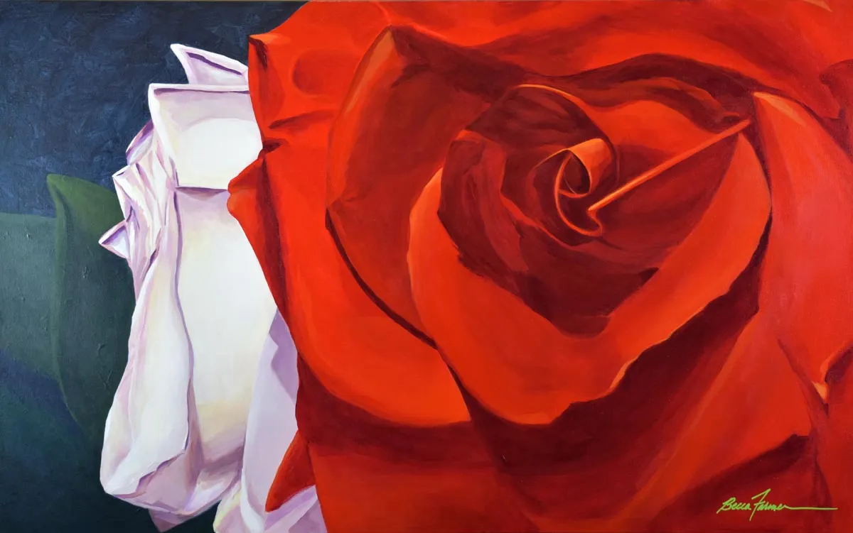Red + White Roses — image 1 of 1