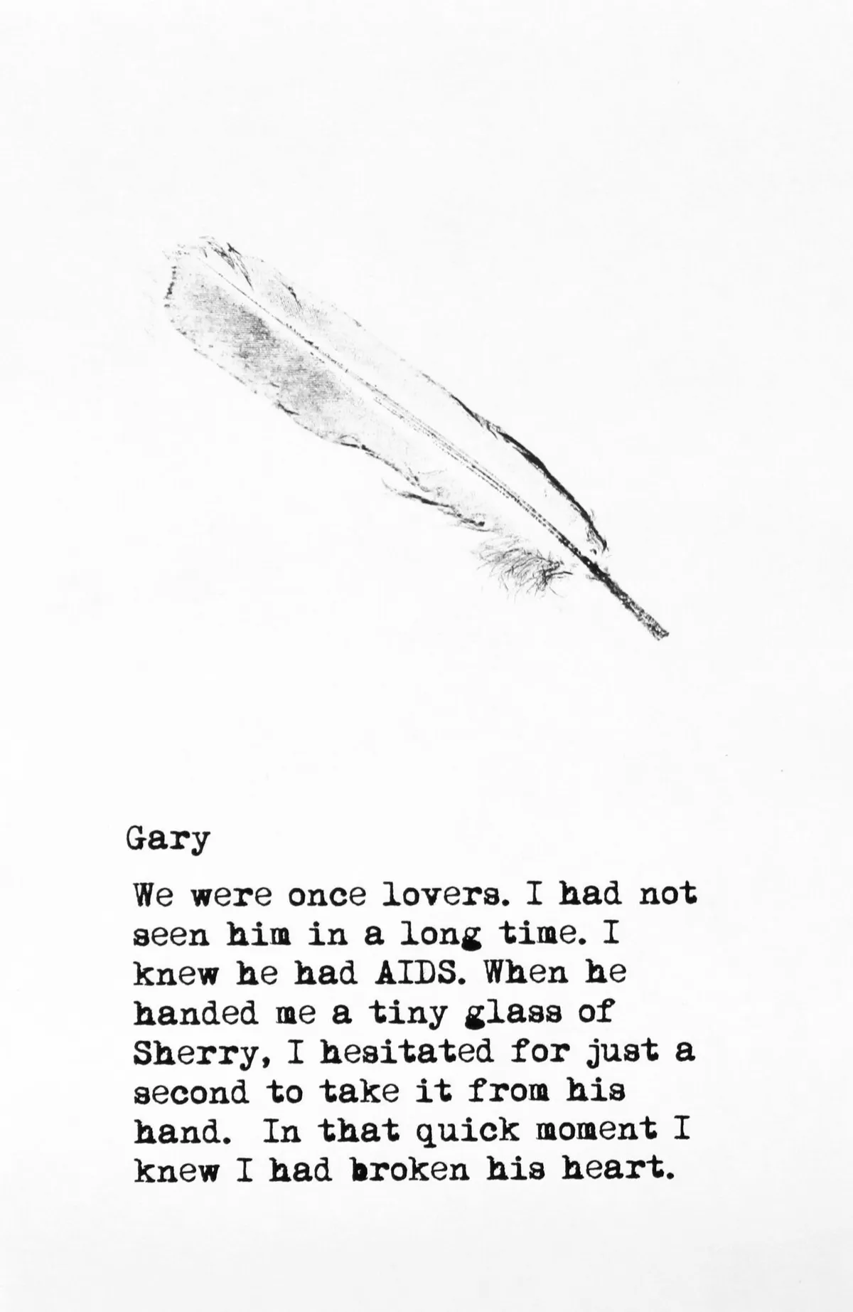Feathers — image 1 of 4
