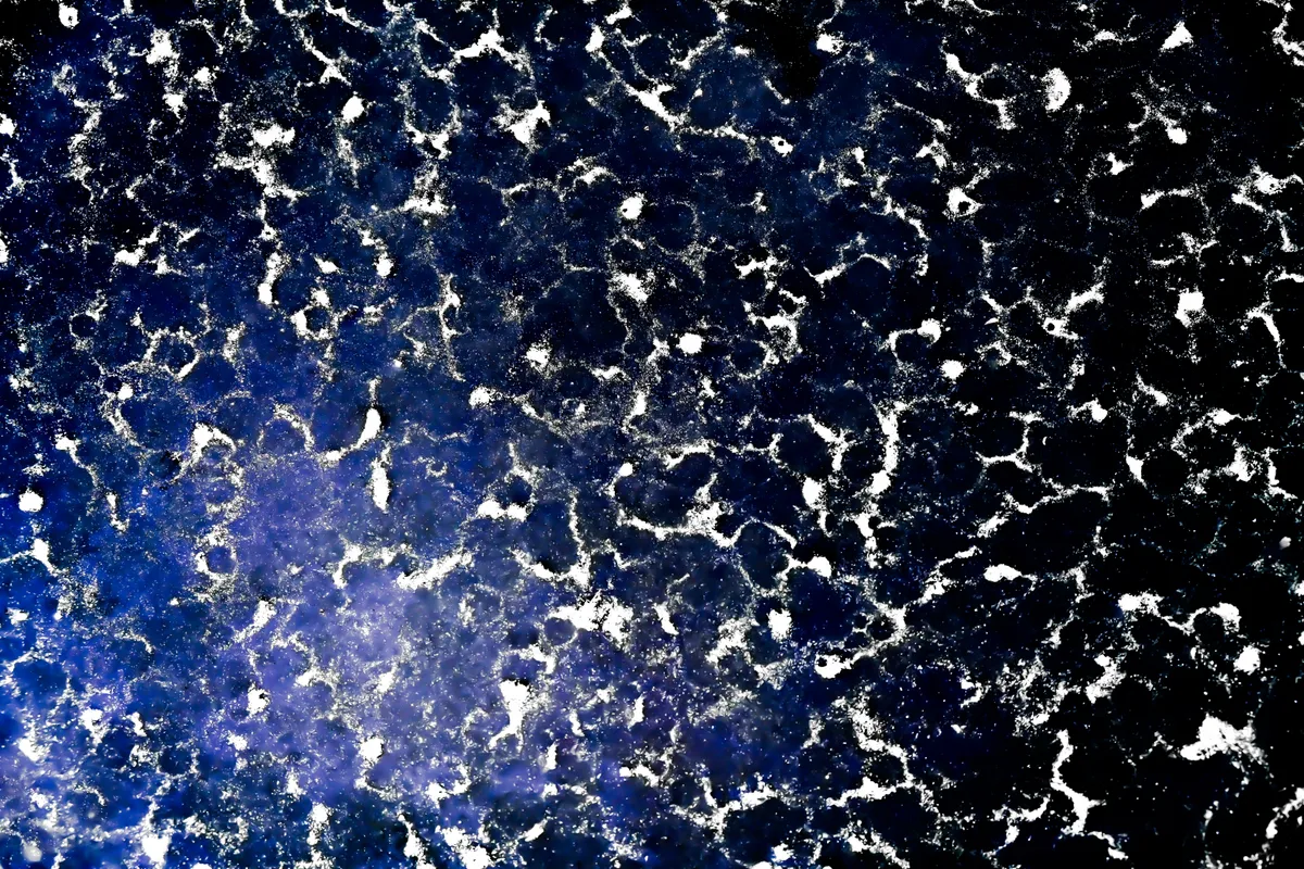A Galaxy Found in the Water — image 1 of 1