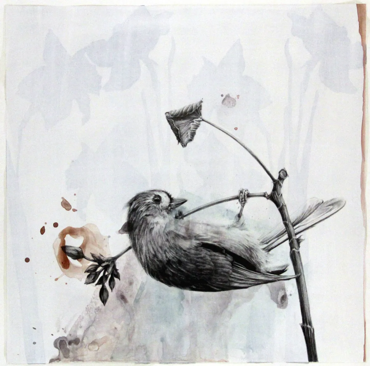 Wild Kingdoms - Sandy Newell & Beth Shook gallery photo 1