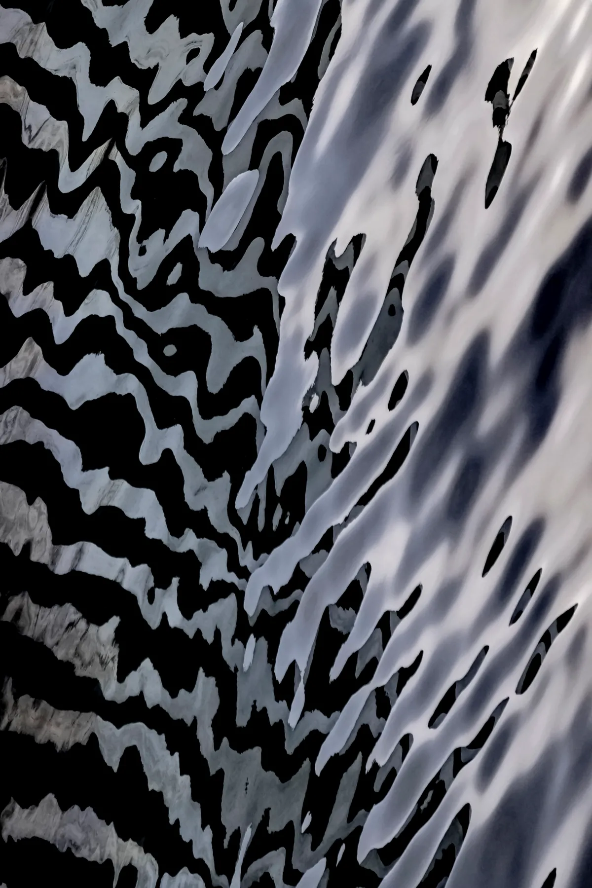 Spirit of the Wild — image 1 of 1