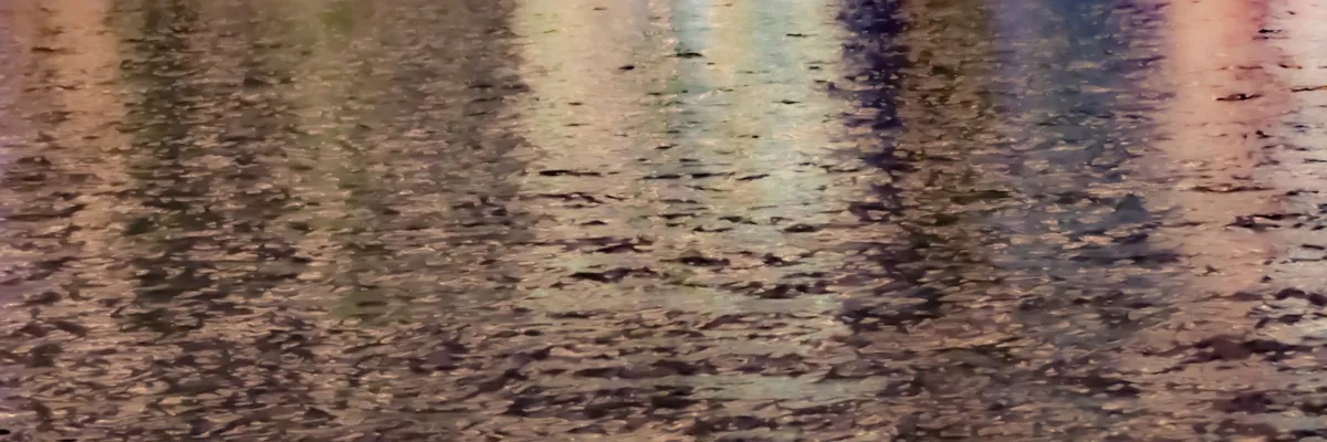 Impression in the Park — image 1 of 1