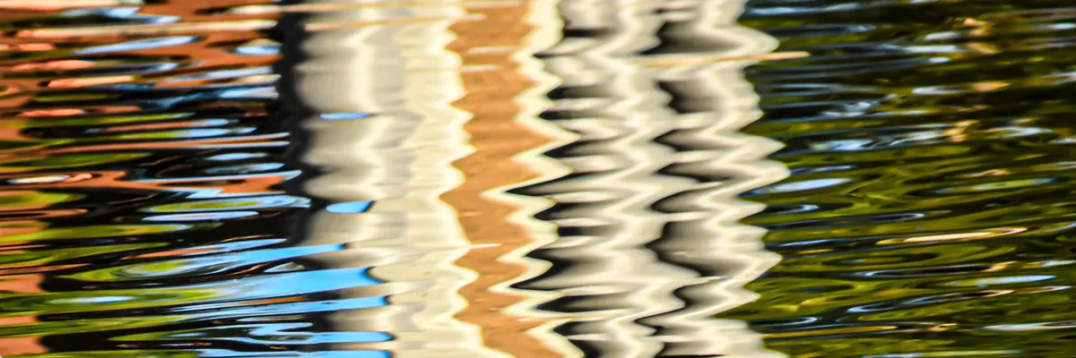 Blurred Movement — image 1 of 1