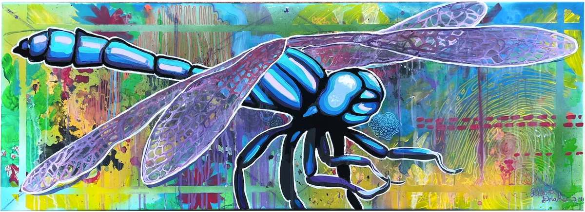 Dragonfly — image 1 of 1