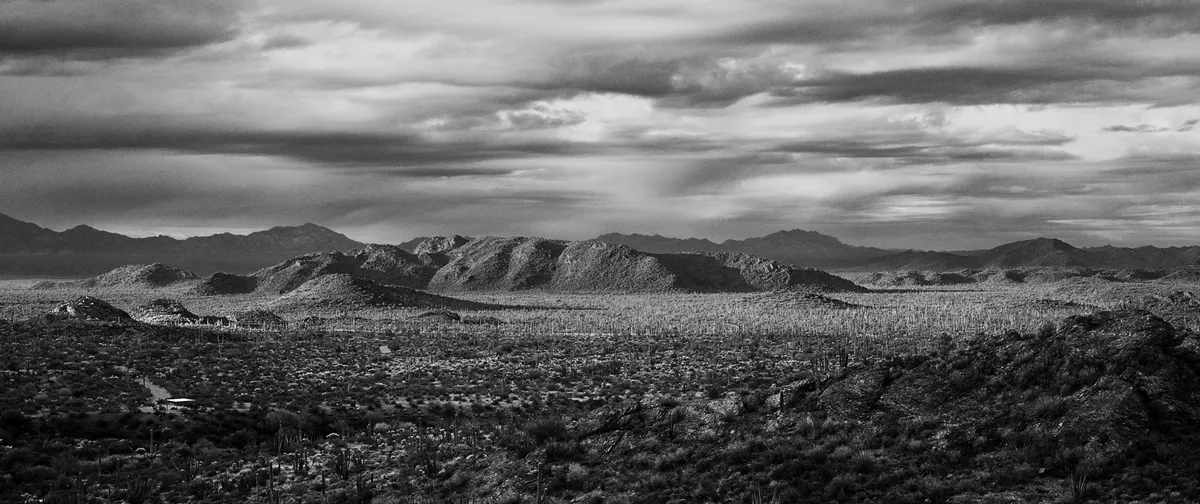 View of OrganPipe Nat Monument at sunup looking west — image 1 of 1