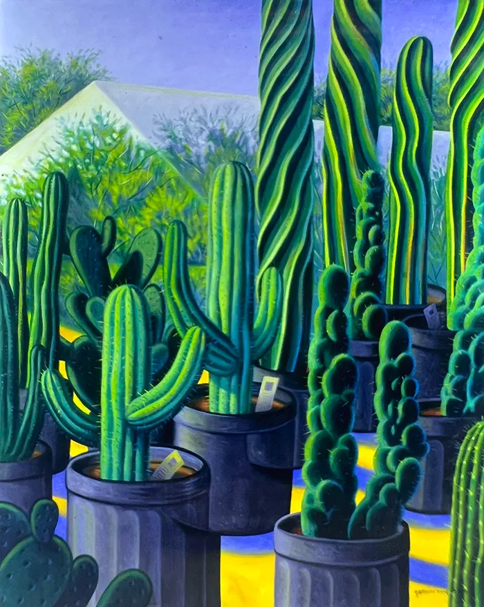 Succulents for Sale — image 1 of 1