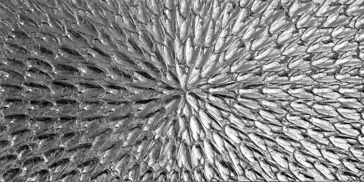 Cerchio d'argento — image 1 of 4