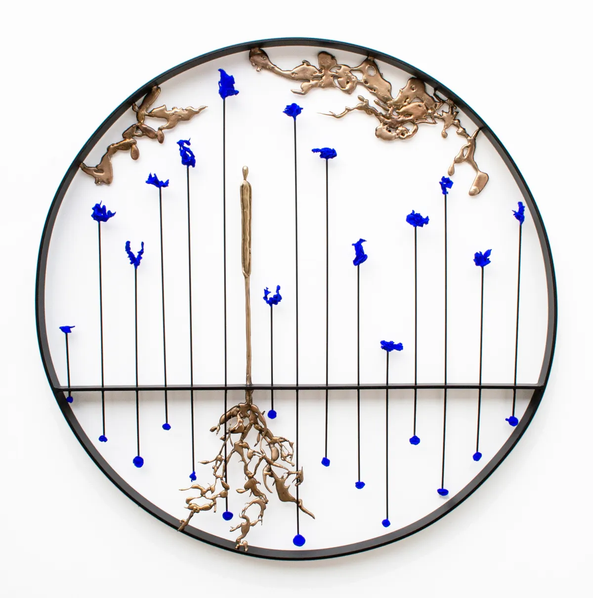 Sewn The Seeds For My Garden In The Stars — image 1 of 1