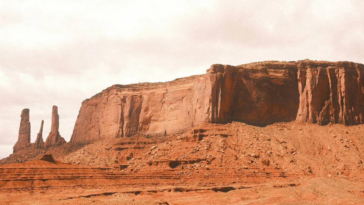 Alaina Tesarek banner