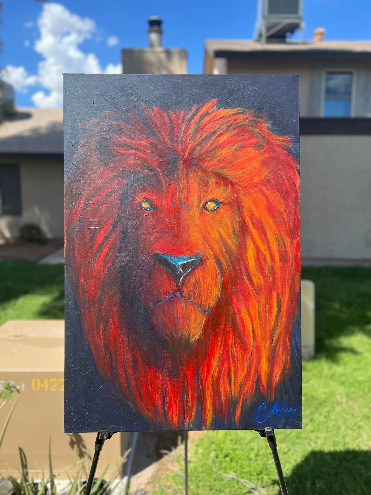 Lion Guide — image 1 of 1