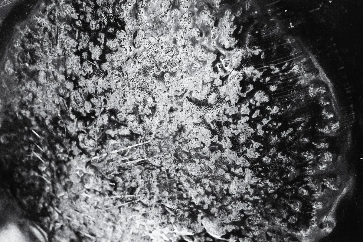 Surface #3 — image 1 of 1