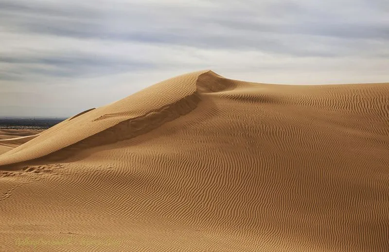 DUNE — image 1 of 1