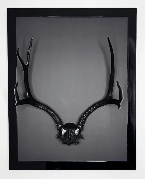 Obsidian Spirit — image 1 of 2