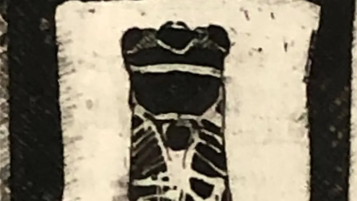 Larry Nisula banner